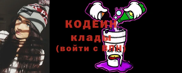 гидра Горнозаводск