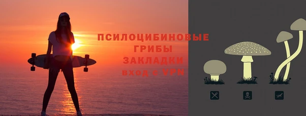 соль ск Горно-Алтайск