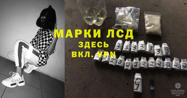 гидра Горнозаводск