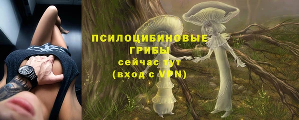 соль ск Горно-Алтайск