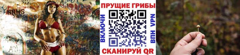 Псилоцибиновые грибы Magic Shrooms Демидов