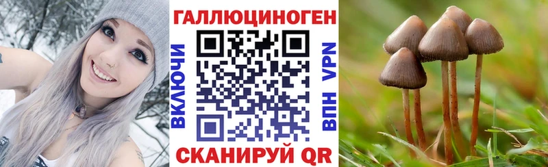 Псилоцибиновые грибы ЛСД  купить наркотики цена  Демидов 